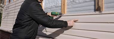 Affordable Siding Repair and Maintenance Services in Punaluu, HI